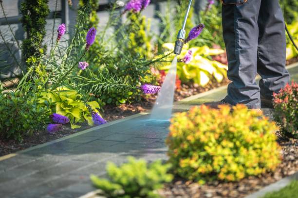Best Pool Deck Cleaning in Mcgregor, FL